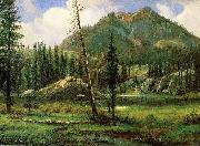 Albert Bierstadt Sierra_Nevada_Mountains oil on canvas